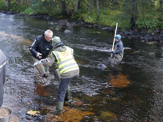 Kunnostustöitä VESKU II-hankkeessa.